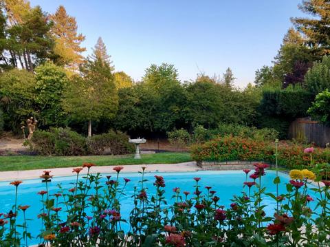 842 E 2 Nd St, Sonoma, CA 95476 photo 11
