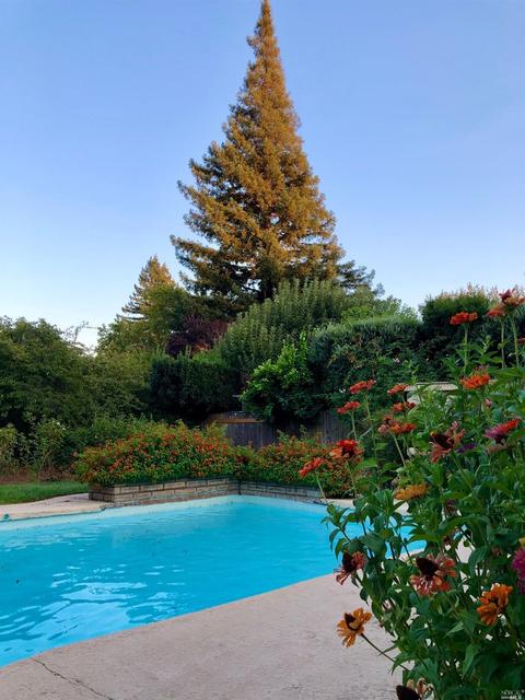 842 E 2 Nd St, Sonoma, CA 95476 photo 14