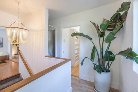 205 Reed St, Mill Valley, CA 94941 photo 18
