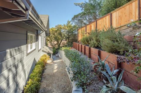 205 Reed St, Mill Valley, CA 94941 photo 44