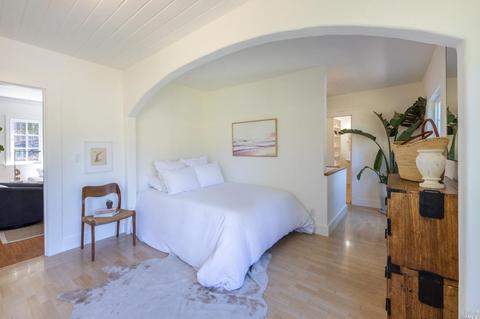 205 Reed St, Mill Valley, CA 94941 photo 17
