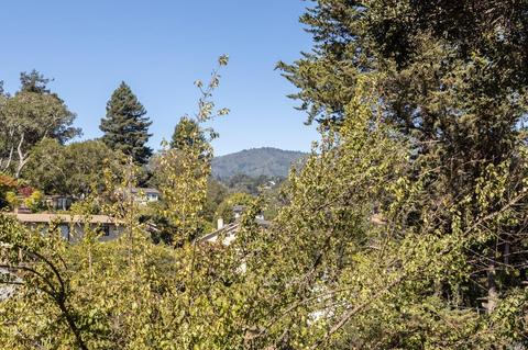 205 Reed St, Mill Valley, CA 94941 photo 49