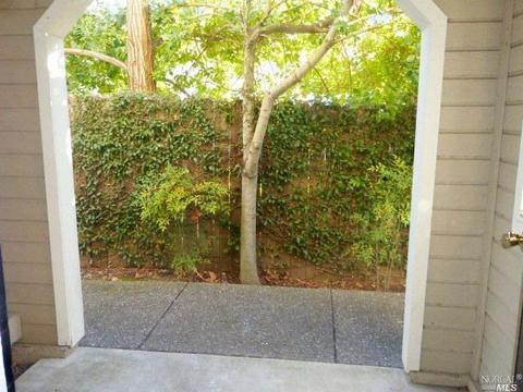 480 Bernice Ln, Sonoma, CA 95476 photo 4