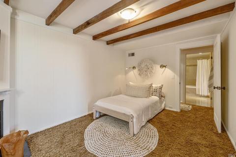 599 Edgewood Ave, Mill Valley, CA 94941 photo 34