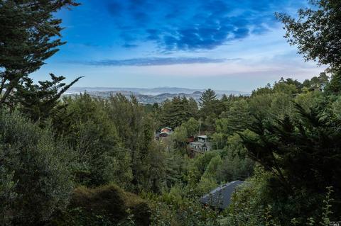 599 Edgewood Ave, Mill Valley, CA 94941 photo 47