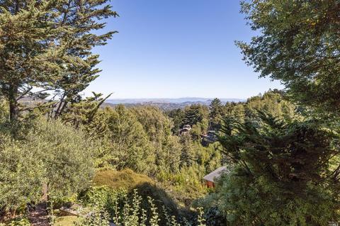 599 Edgewood Ave, Mill Valley, CA 94941 photo 44