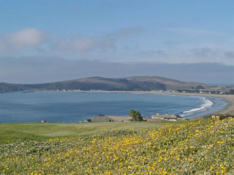 21255 Heron Dr, Bodega Bay, CA 94923 photo 44
