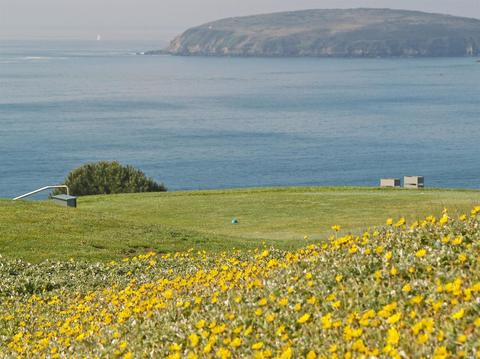 21255 Heron Dr, Bodega Bay, CA 94923 photo 43