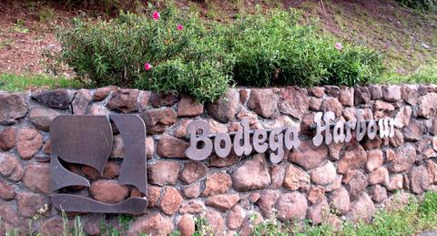 21255 Heron Dr, Bodega Bay, CA 94923 photo 36
