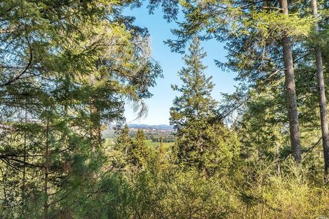 1009 Westside Rd, Healdsburg, CA 95448 photo 43