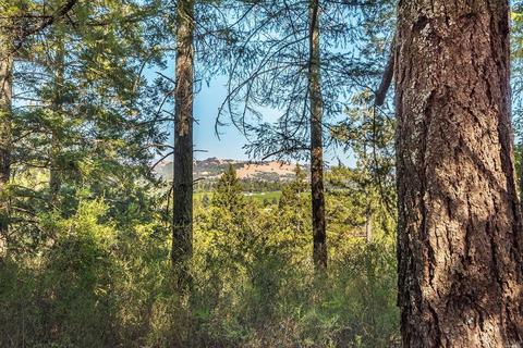 1009 Westside Rd, Healdsburg, CA 95448 photo 22