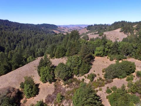 1300 Nicasio Valley Rd, Nicasio, CA 94946 photo 2