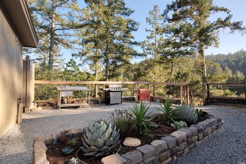 1300 Nicasio Valley Rd, Nicasio, CA 94946 photo 11