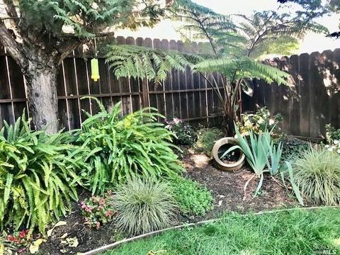 3007 Main St, Napa, CA 94558 photo 16