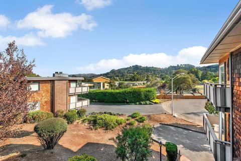 167 Pixley Ave, Corte Madera, CA 94925 photo 12