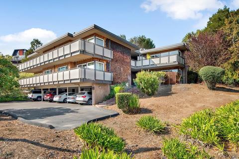 167 Pixley Ave, Corte Madera, CA 94925 photo 34