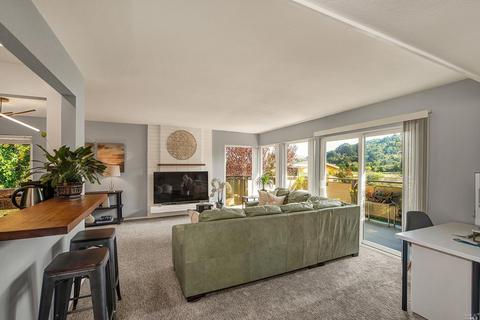 167 Pixley Ave, Corte Madera, CA 94925 photo 3