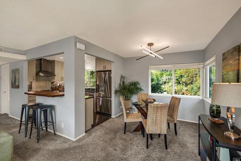 167 Pixley Ave, Corte Madera, CA 94925 photo 15