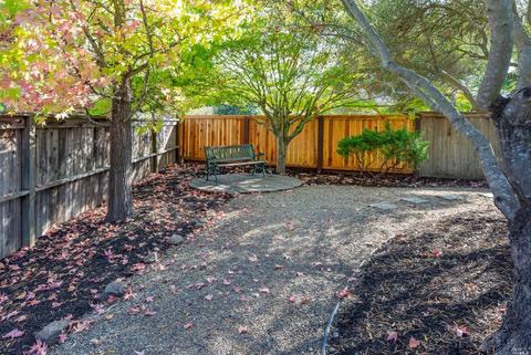 126 Summer Wheat Dr, Windsor, CA 95492 photo 7