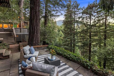 33 Millside Ln, Mill Valley, CA 94941 photo 45