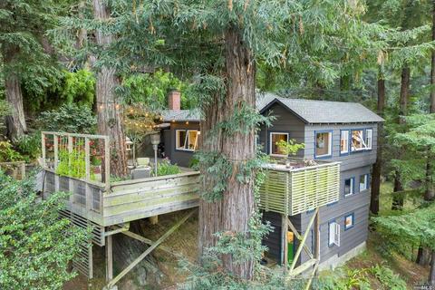 33 Millside Ln, Mill Valley, CA 94941 photo 44