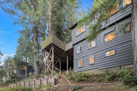 33 Millside Ln, Mill Valley, CA 94941 photo 43