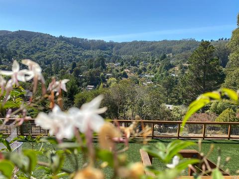 437 Wellesley Ave, Mill Valley, CA 94941 photo 30