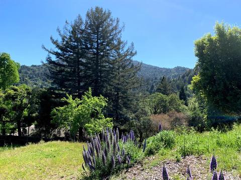 22 Rock Rd, Kentfield, CA 94904 photo 26