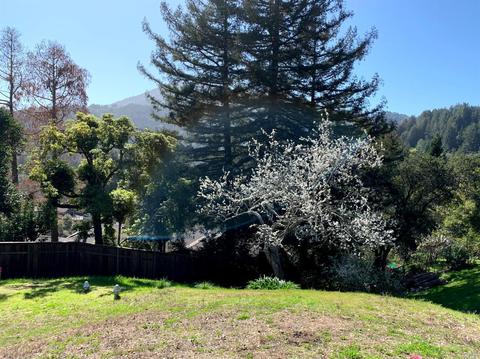 22 Rock Rd, Kentfield, CA 94904 photo 20