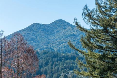 22 Rock Rd, Kentfield, CA 94904 photo 16