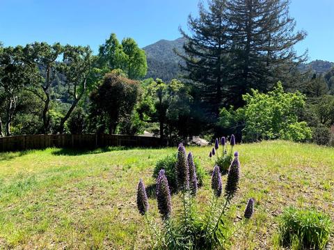 22 Rock Rd, Kentfield, CA 94904 photo 4