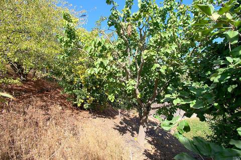 131 Brigantine Rd, Vallejo, CA 94591 photo 44