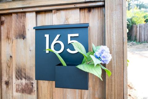 165 Linden Ln, Mill Valley, CA 94941 photo 45