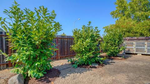 935 Robbie Way, Windsor, CA 95492 photo 22