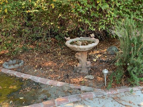 1012 3rd Ave, Napa, CA 94558 photo 23