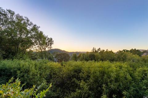 40 Crest Ave, San Anselmo, CA 94960 photo 22