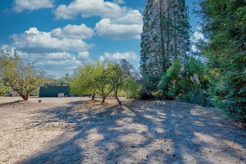 1585 Schaeffer Rd, Sebastopol, CA 95472 photo 36