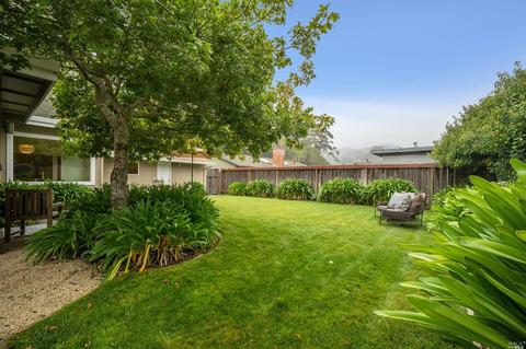 245 Cardinal Dr, Mill Valley, CA 94941 photo 43