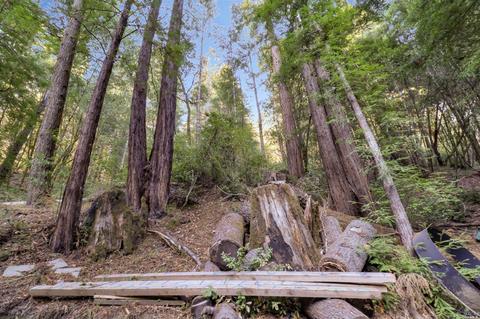 Undisclosed, Occidental, CA 95465 photo 24