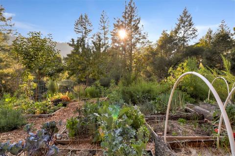 Undisclosed, Occidental, CA 95465 photo 5