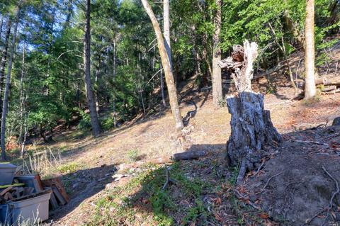 Undisclosed, Occidental, CA 95465 photo 20