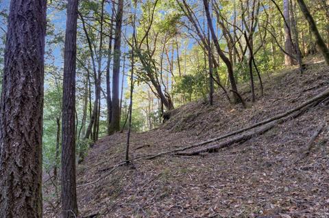 Undisclosed, Occidental, CA 95465 photo 23