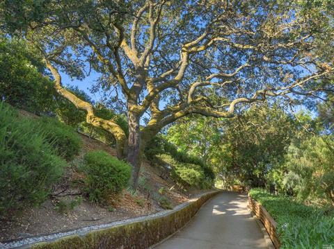 175 Valley View Ave, San Rafael, CA 94901 photo 49