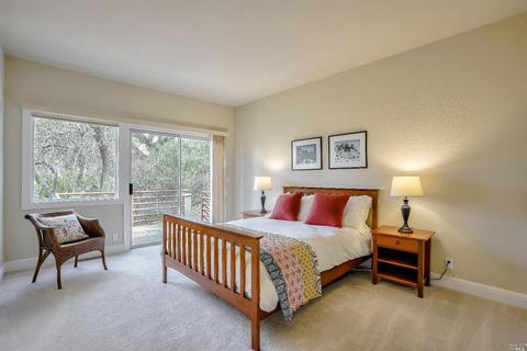 175 Valley View Ave, San Rafael, CA 94901 photo 20