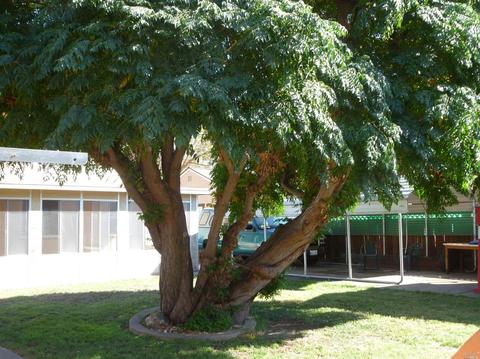 727 Oakwood Ave, Vallejo, CA 94591 photo 24