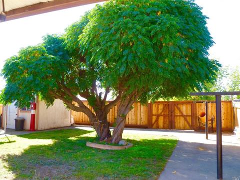 727 Oakwood Ave, Vallejo, CA 94591 photo 21