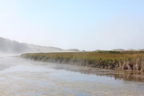 155 Bean Ave, Bodega Bay, CA 94923 photo 46