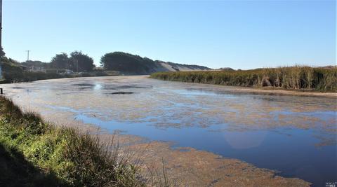 155 Bean Ave, Bodega Bay, CA 94923 photo 44