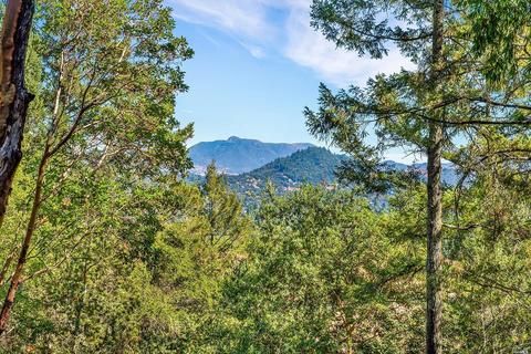 1240 Emerald Ranch Rd, Healdsburg, CA 95448 photo 19