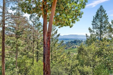 1240 Emerald Ranch Rd, Healdsburg, CA 95448 photo 10